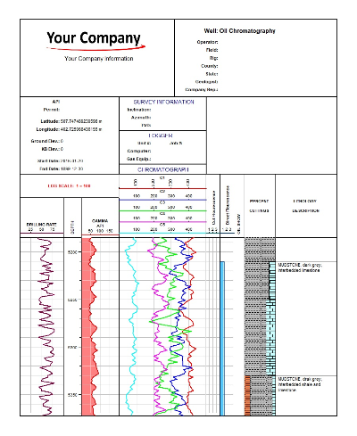 Oil chromatography log sheet 2 preview