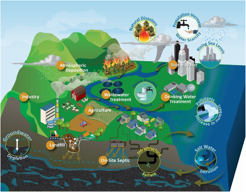 Common sources of contaminants